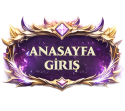 Anasayfa
